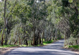 On the back road for a walkies