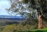 View from the walkies road