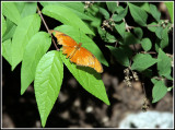 IMG_7381.jpg