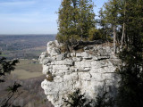 Old Baldy1