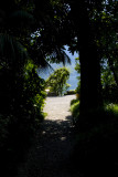 Villa Carlotta Lake Como
