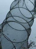 Net