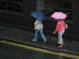 Brollies
