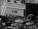 July 30 2007: <br> In Loving