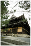 t012.jpg