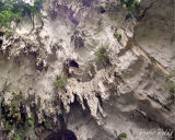 Lime Stone Caves