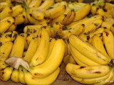 Yellow Bananas