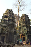 Ta Prohm