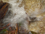 Gushing Water