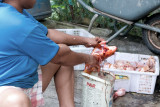 Cleaning Fish