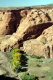 Canyon De Chelly N.M.