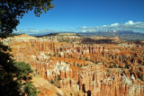 Bryce National Park