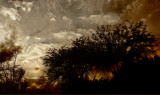 Storm Watch.........View from the Wash