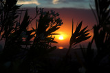 20070706 / sunrise