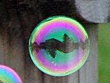 bubble2