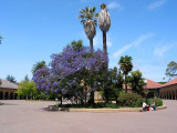 IMG_0023_web.jpg