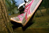 IMG_0666-v1-sm-v2-xprocess2.jpg