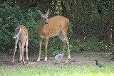 IMG_7876colorsk.jpg