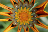 IMG_7904colorsk.jpg