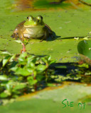 IMG_33208x10.jpg