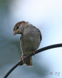 IMG_3893.jpg