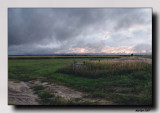 Stormy Weather