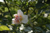 May 2007 - Parc de Bercy 75012