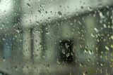 May 2007 -  Day of rain 75013