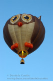 Montgolfières / Hot Air Balloons