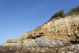 The cliff with the hoopoe - La falaise  la huppe