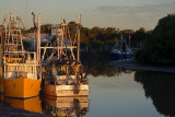 Shorncliffe at sunset