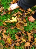 Barefoot in the Park
