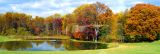 Drive By Pond Reflection