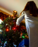 Trimmin the Tree<br>12-4-06