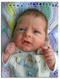Luke Jr