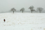 _DSC02213312snow march 2007_1.jpg