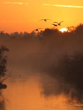 Anhinga Trail (Everglades NP)
