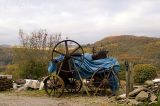 6th November 2006 - poor old girl