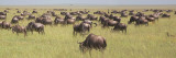 Serengeti pano 2.jpg