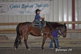 Cub Scouts Visit Gale's Equine Facility and Carousel 4H Club