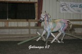 IMG_3148.jpg