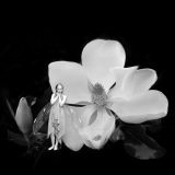 Fairy with magnolia