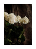 26.12.2006 - dying bouquet (my first attempts in still life ;-)