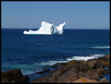 IcebergShoreline43294.jpg