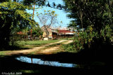The Old Dairy Barn October 22 *