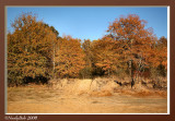 Fall Colors November 26 *