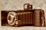 Vintage Camera January 15 *