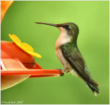 Hummer May 13 *