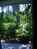 View from livingroom window & porch