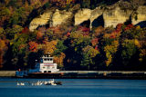 of birds and barges